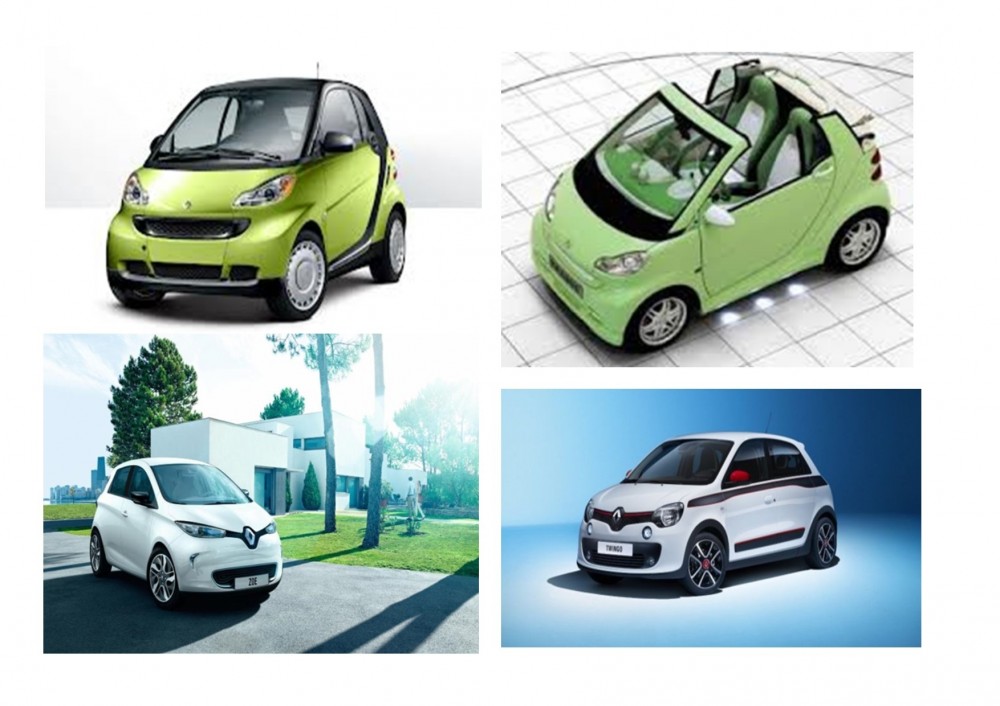LE ELETTRICHE - Rent to Rent Mobility
